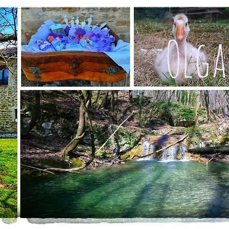 Bed and breakfast Boscovecchio 3*