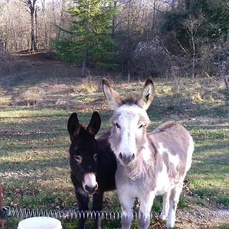 Boscovecchio Bed and breakfast