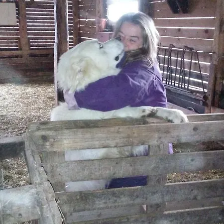 Boscovecchio Bed and breakfast Asís