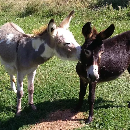Boscovecchio 3* Assisi