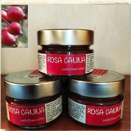 Boscovecchio Bed and breakfast