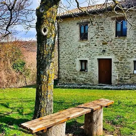 Bed and breakfast Boscovecchio
