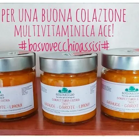 Alojamento de Acomodação e Pequeno-almoço Boscovecchio