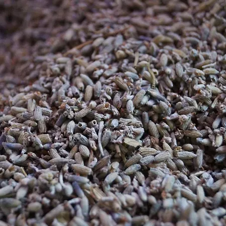 Bed & Breakfast Boscovecchio Assisi