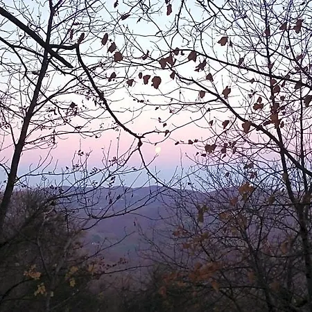 Boscovecchio Bed and breakfast