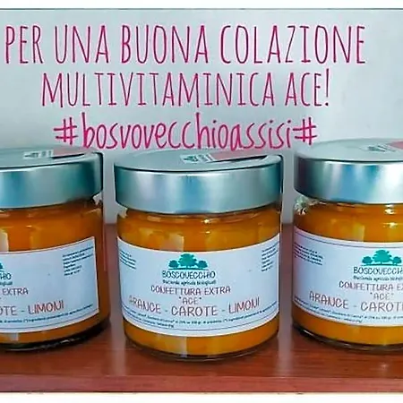 Boscovecchio Bed and breakfast Asís