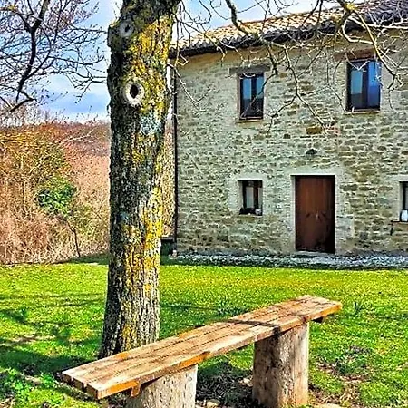 Boscovecchio 3*