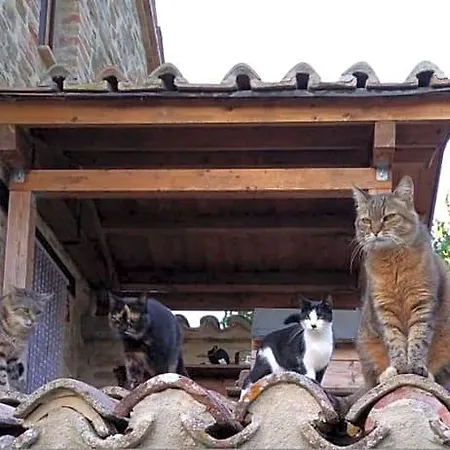 Boscovecchio 3*