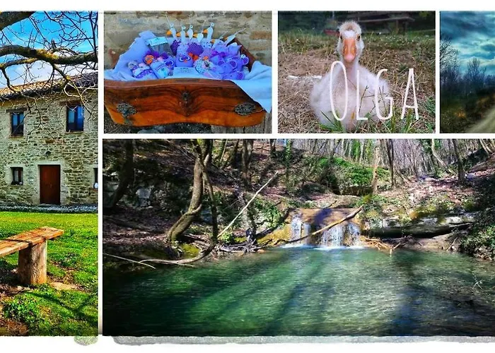 Bed & Breakfast Boscovecchio 3*