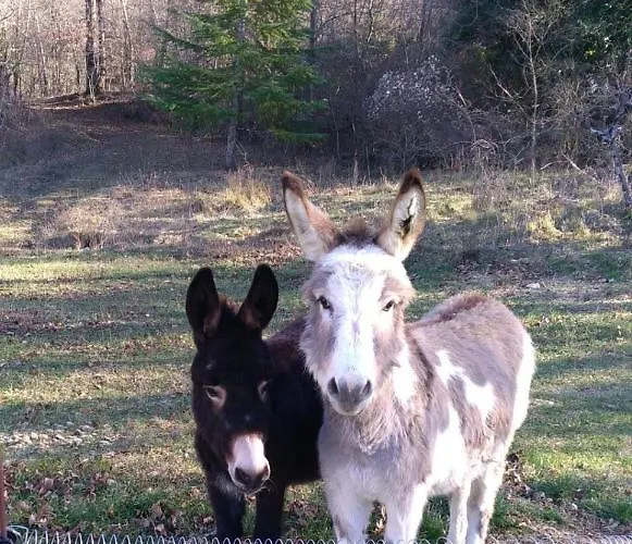 Boscovecchio Alojamento de Acomodação e Pequeno-almoço