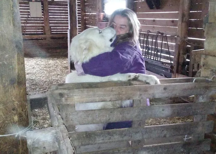 Boscovecchio Bed & Breakfast Assisi