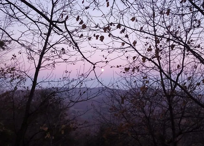 Boscovecchio 3* Assisi