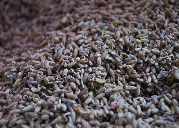 Alojamento de Acomodação e Pequeno-almoço Boscovecchio Assisi